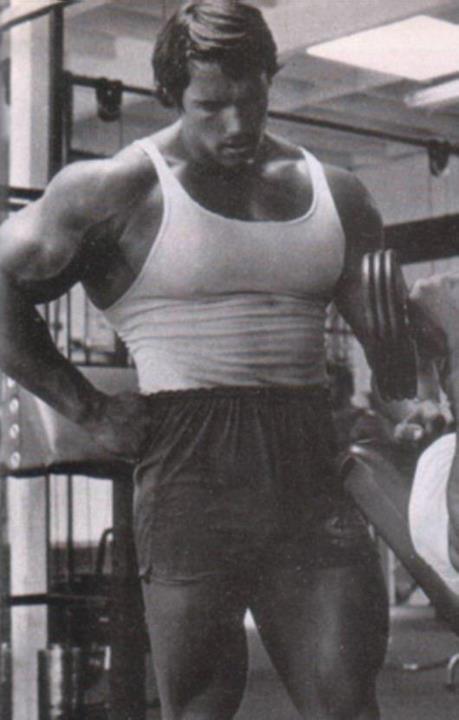 arnold 14 movie times arnold 14 movie times