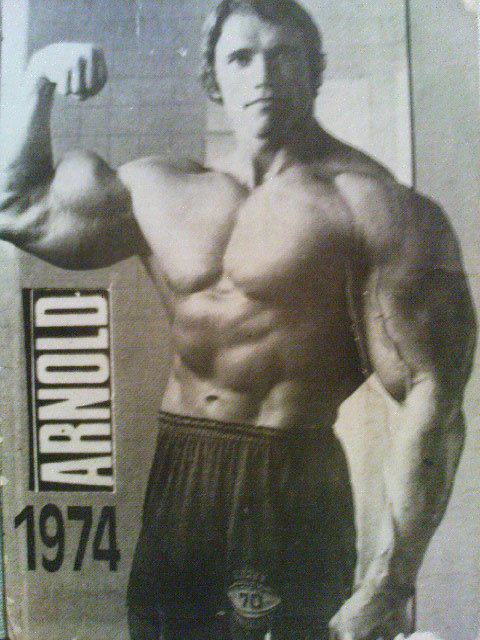 arnold 14 movie times arnold 14 movie times