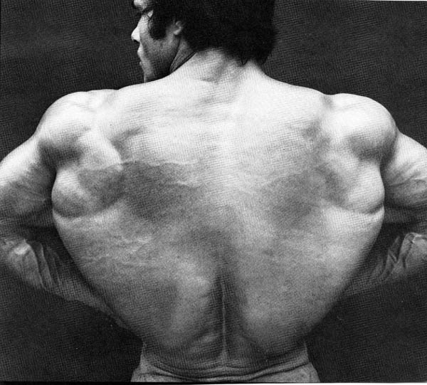 Rear Lat Spread.