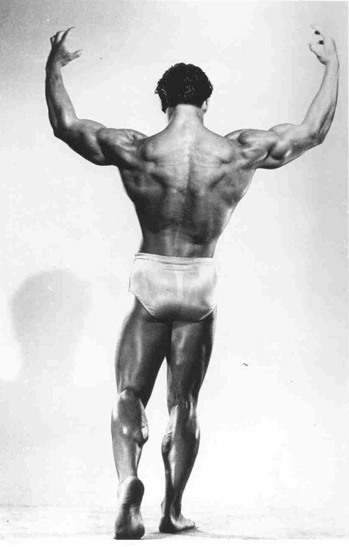 Steve Reeves Calves